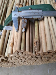 MEILLEUR PRIX POUR LE POLE EN BAMBOU PRÊT À EXPORTER EN GRANDE QUANTITÉ PRODUIT DE MEILLEURE QUALITÉ DU VIETNAM - Product Image 2
