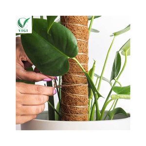 เสาใยมะพร้าวธรรมชาติ - ที่ค้ำยันสำหรับพืชเลื้อยได้ ทนทาน - Product Image 1