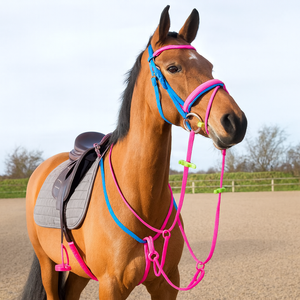 Brida y Riendas de PVC para Carreras Ecuestres, Fabricadas en India, Brida de Biothene para Montar a Caballo al Mejor Precio - Product Image 6