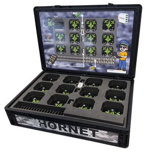 Hornet-<b>BOX</b> - Product Image 2