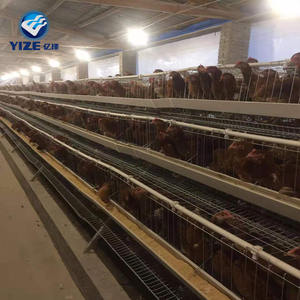 Gallinero Extra Grande <span class=keywords><strong>de</strong></span> Madera, Jaula para <span class=keywords><strong>Gallinas</strong></span>, Corral <span class=keywords><strong>de</strong></span> Cría, Jaulas para Pollos en <span class=keywords><strong>Venta</strong></span> - Product Image 6