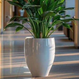 Maceta de Fibra de Vidrio de Primera Calidad, Diseño Clásico, Acabado Rústico, Ecológica y Ligera, Ideal para Decoración de Interiores y Exteriores del Hogar y Jardín - Product Image 2