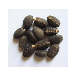 Fournisseur en gros de qualité supérieure de graines de jatropha naturelles séchées 100% à vendre - Product Image 2