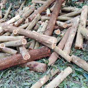 Piquets en bois d'eucalyptus de 3 m de long, divers diamètres de 6 cm à 10 cm, pour utilisation dans les jardins, les fermes ou l'aquaculture - Product Image 3