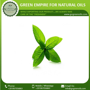 น้ำมันหอมระเหยเปปเปอร์มินท์ออร์แกนิกจากธรรมชาติน้ำมันหอมระเหยบำรุงผิวจำนวนมาก - Product Image 5