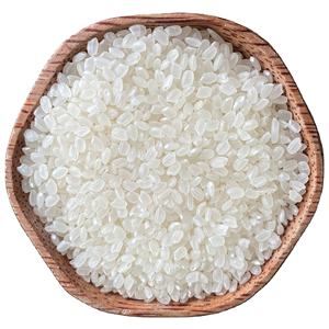 [KEITH VILACONIC] JAPONICA SUSHI GRANO CORTO ARROZ/RIZ/ARROZ ESTILO SECO CORTO CON CALIDAD PREMIUM y PRECIO COMPETITIVO - Product Image 1
