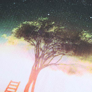 Camisetas de sublimación ecológicas de punto sólido de talla grande transpirable 100% algodón personalizable hecho en Pakistán - Product Image 6