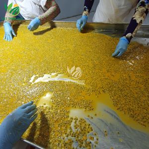 Fruta de la Pasión Frozen Fruta de la Pasión Sabor a jugo Listo una gran cantidad - Product Image 6