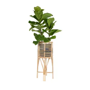 Customized Color And Designs Order Round Rattan Plant Stand Handmade Rattan Indoor Use Under Shelter For Wholesales