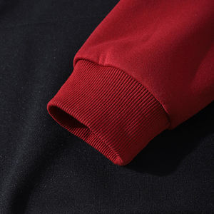 En différentes couleurs 100% coton style décontracté confortable pull hommes sweats à capuche dernière conception Offre Spéciale hommes sweats à capuche - Product Image 6