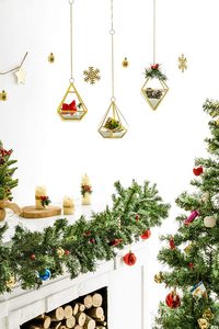 Nueva decoración de lujo para el hogar, maceta de terrario, mesa de oficina, sala de dibujo de vidrio transparente, jarrón decorativo para plantas de terrario - Product Image 6