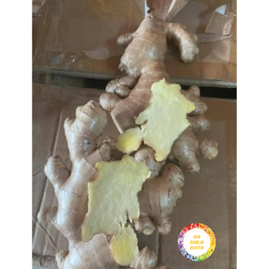 VENTA CALIENTE VIETNAM JENGIBRE FRESCO CALIDAD PREMIUM SUMINISTRO A GRANEL DEL FABRICANTE DIRECTO PARA LA EXPORTACIÓN - Product Image 5