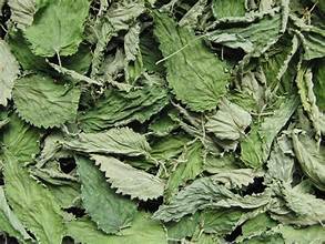 INGRÉDIENT HERBAL D'ÉTIQUETTE PROPRE DE FEUILLE D'ORTIE SÉCHÉE DE QUALITÉ SUPPORT IMMUNITAIRE ET BIEN-ÊTRE À BASE DE PLANTES - Product Image 4