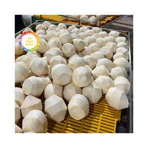 COCO JOVEN DE VIETNAM SABOR NATURAL FRESCO CALIDAD PREMIUM CON BUEN PRECIO PARA VENTA AL POR MAYOR INTERNACIONAL - Product Image 5