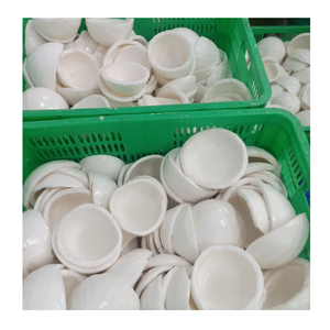 เนื้อมะพร้าวแช่แข็งหั่นมะพร้าวสดแช่แข็งจากเวียดนามสำหรับบริการด้านอาหารและตลาดส่งออก - Product Image 1