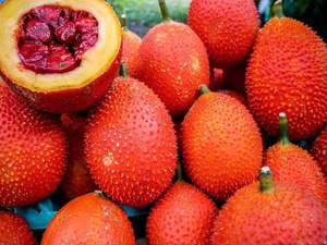 FRUTA GAC RECIÉN CONGELADA/SUPERALIMENTOS NATURALES/ENVASADO AL POR MAYOR A GRANEL/LARGA VIDA ÚTIL/LISTO PARA USAR - Product Image 3