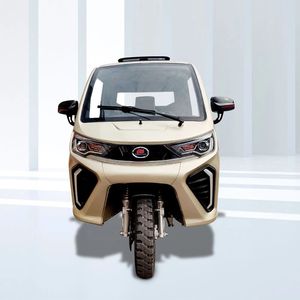 TVS KING DELUXE PLUS Triciclo Motorizado de Pasajeros con Carrocería Cerrada, Rickshaw Tuk Tuk, 151-200cc, 36V, 3 Pasajeros, 30-50Km/h, Urbano - Product Image 2