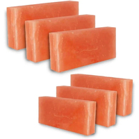 Blocs, briques et carreaux de sel de l'Himalaya sculptés de haute qualité pour murs de sel intérieurs – Vente en gros