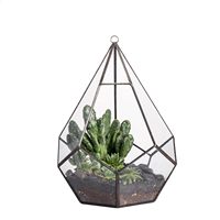 Terrarium en verre géométrique vertical pour plantes succulentes et cactus, finition noire, design moderne, vase de table écologique pour mariage
