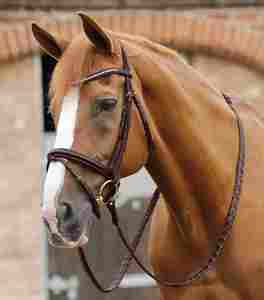 High Quality Racing Horse Reins 2026 Anti <b>Slip</b> Side Reins Accessories Manufacturer Supplier Premium Horse Riding Reins Bulk - Product Image 6