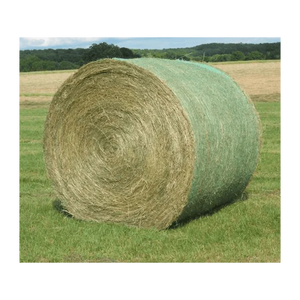 Heno de Pasto Rhodes a Precio de Fábrica, Alimento para Animales de Primera Calidad, Suministro al por Mayor, Producto Agrícola - Product Image 5