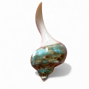 ที่วางตะเกียบมุกสำหรับตกแต่งโต๊ะอาหารและใช้บนโต๊ะอาหาร ผลิตในเวียดนาม - Product Image 2