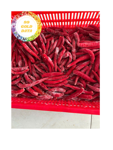 Chiles congelados en forma triturada para fabricantes de alimentos y productores de condimentos Vietnam Origin Premium Red Chilli - Product Image 4