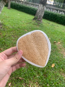 Éponge de bain naturelle en loofah, forme ovale, exfoliante pour le corps, pour adultes, style simple, en fibres séchées - Product Image 2