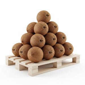 Grande remise Noix de coco matures fraîches pour l'exportation Haute teneur en eau et chair blanche Idéal pour la cuisson et l'huile - Product Image 3