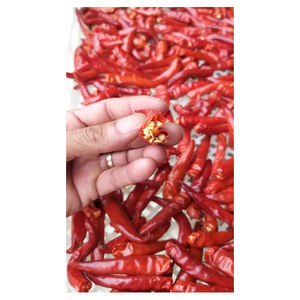 Piment rouge épicé entier biologique séché à long motif en vrac et emballé sous vide pour le marché chinois à bas prix - Product Image 6