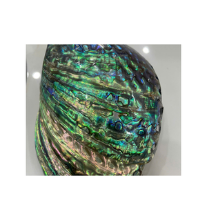 Coquilles d'ormeau naturelles du Vietnam Coquilles océaniques durables pour incrustation artistique, conception de bijoux, bricolage et exportation dans le monde entier - Product Image 1