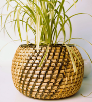Conjunto Atacado com 3 Suportes para Vaso de Flores em Madeira de Capim-Marinho Bege, Pés para Cesto de Flores, Ecológico, Esculpido à Mão, Estilo Boêmio, Uso Doméstico