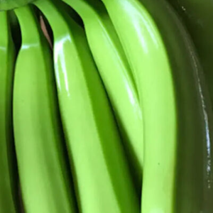Export Grade Green de plátanos frescos orgánicos para supermercados y distribuidores cultivados en estilo orgánico - Product Image 2