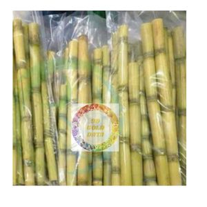 Palitos de caña de azúcar congelados IQF, producto de exportación Premium de Vietnam, pelados frescos e ideales para usos de jugo y batidos - Product Image 4