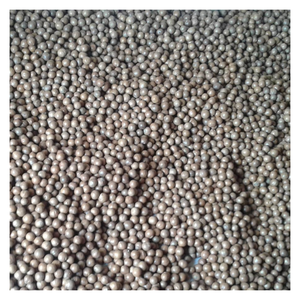 Tuerca de MACCA de alta calidad directamente de Vietnam Tuerca de MACCA seca con aceite rico y proteína Tuerca superior seleccionada para el embalaje de exportación - Product Image 1