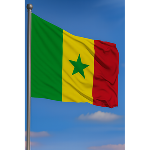 Drapeau du Sénégal personnalisé 3x5 pieds, mât en aluminium, impression numérique, logo personnalisé, matériau plastique ou polyester - Product Image 2