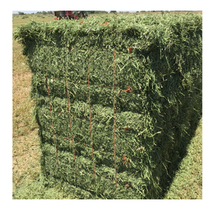 Alfalfa para la alimentación de animales para ganado vacuno y otros animales de granja gran calidad del fabricante alfalfa heno para la venta - Product Image 4