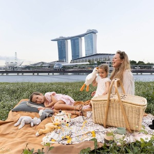 ตะกร้าปิกนิกอเนกประสงค์ทรงทันสมัยจากหวายธรรมชาติ Aurelie เป็นมิตรกับสิ่งแวดล้อม - Product Image 6