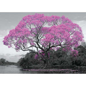 Modern Style Tree Blossom <b>Poster</b> Made of Paper for Wall Decor - Product Image 1