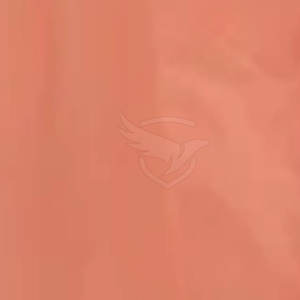 Pantalones cortos de gimnasio de alta calidad Pantalones cortos de gimnasio de bajo precio para venta en línea Hecho en Pakistán - Product Image 6