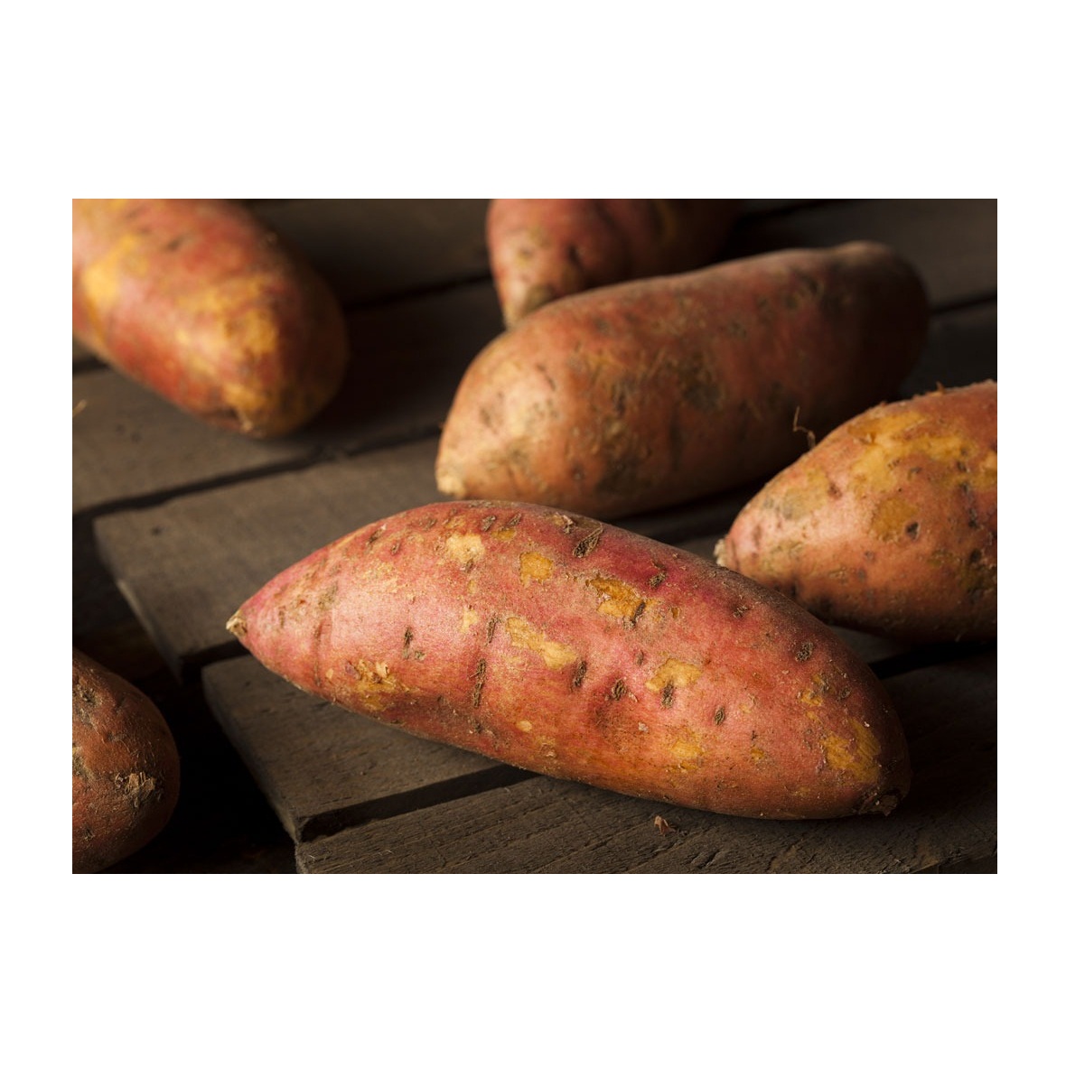 сладкий картофель (батат, ямс). картофель батат. ямс китайский, батат. батат. сладкий картофель белый.