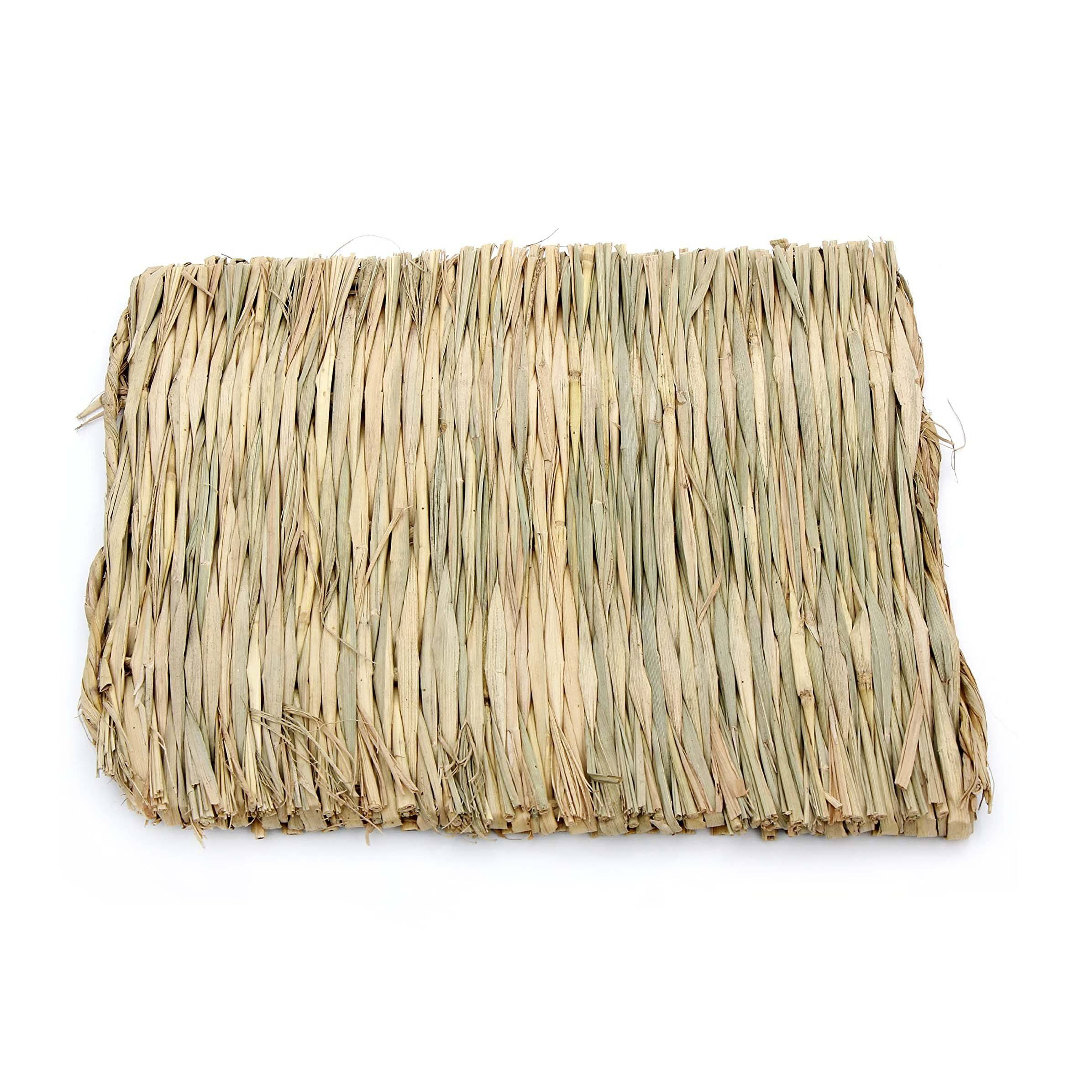 ธรรมชาติ