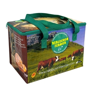 Bolsa Térmica para Almuerzo de Polipropileno No Tejido, 20L, con Cierre de Cremallera y Asa, Reutilizable, para Entrega de Alimentos, Bebidas y Cerveza - Product Image 4