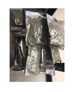 Envío rápido y seguro de hojas secas de Guanábana/Precio sorprendentemente barato con buena calidad desde Vietnam - Product Image 3