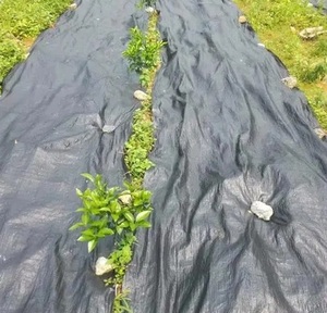 Toile géotextile tissée anti-UV et anti-herbe pour l'agriculture et l'aménagement paysager, en polyester et PP, à prix usine - Product Image 3