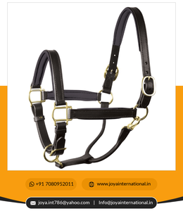 Produits pour chevaux personnalisés styliste tête de cheval licou en cuir rembourré de l'Inde pliée - Product Image 4