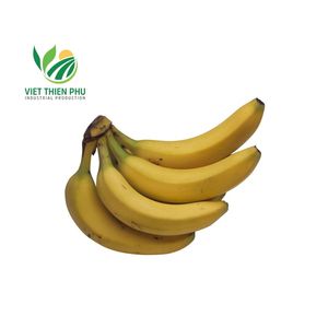 2024 Nuevo cultivo de plátano de alta calidad conservado en agua con congelación IQF Embalaje a granel Sabor dulce - Product Image 5