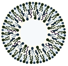 Ingrédient de base Ceraplex avancé pour les soins de la peau développé et fabriqué en Corée - Product Image 2