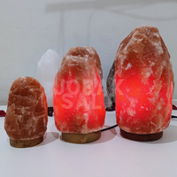 Lámpara de Sal del Himalaya Rojo Intenso, Ecológica, Tallada en Cristal Rojo Sangre, Estilo Amor, Feng Shui, Curación, Base de Madera Hecha a Mano, Premium