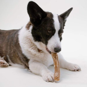 Lam Dong HOANG LINH SG - Juguete Masticable Ecológico para Perros Medianos, de Goma y Madera, para Uso Diario - Product Image 2